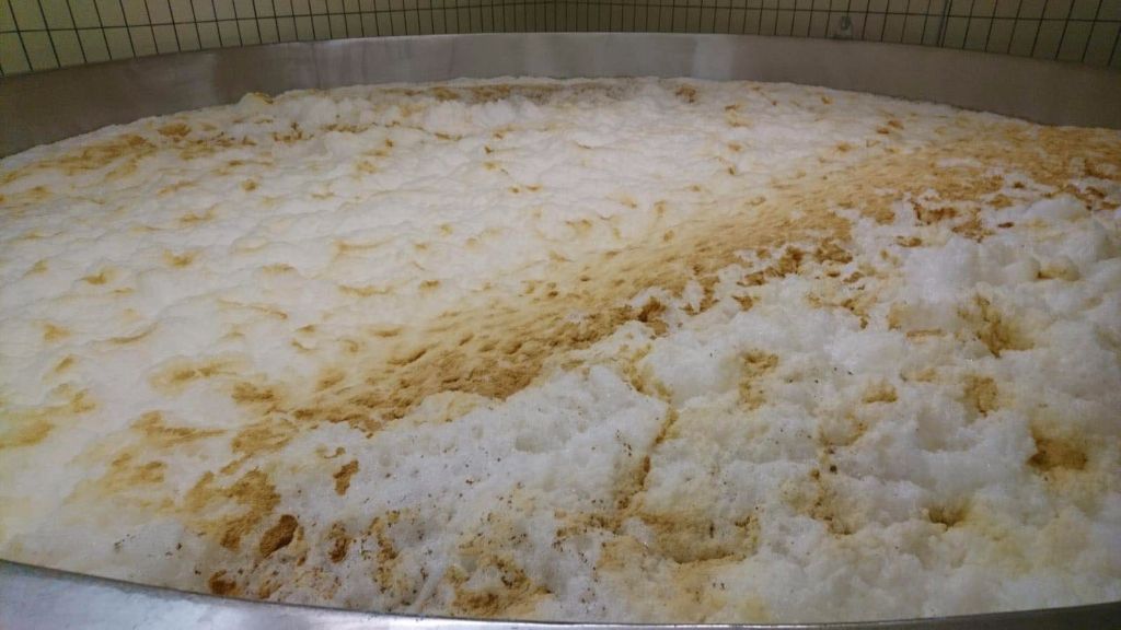 發酵啤酒可以不使用啤酒酵母嗎？