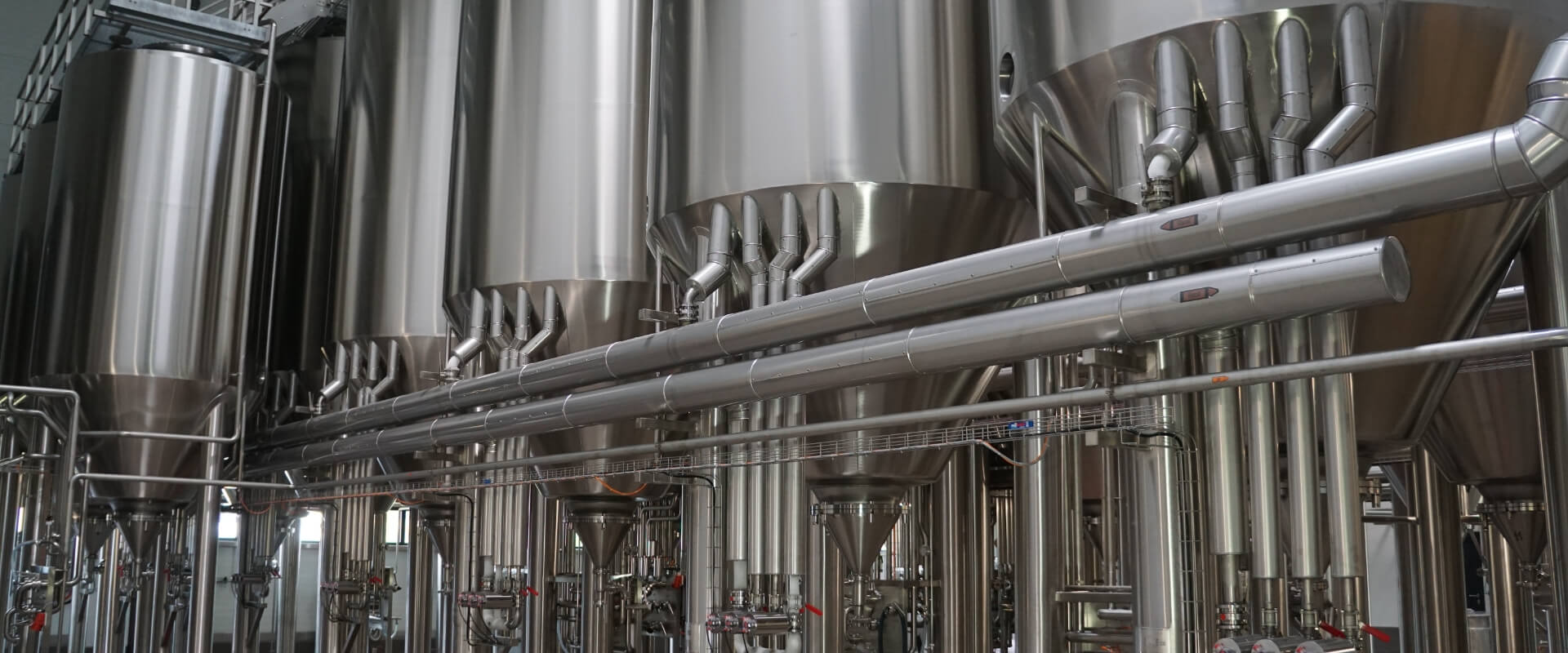 主發(fā)酵的工藝要點(diǎn)是什么？